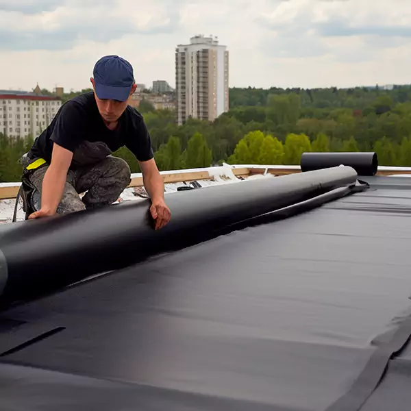 Why Lockport Property Owners Trust Roofing Services Lockport for TPO Roofing?
