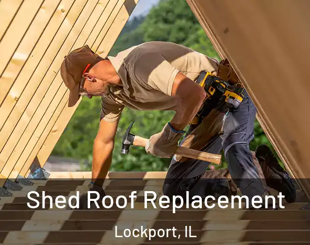  Shed Roof Replacement Lockport, IL